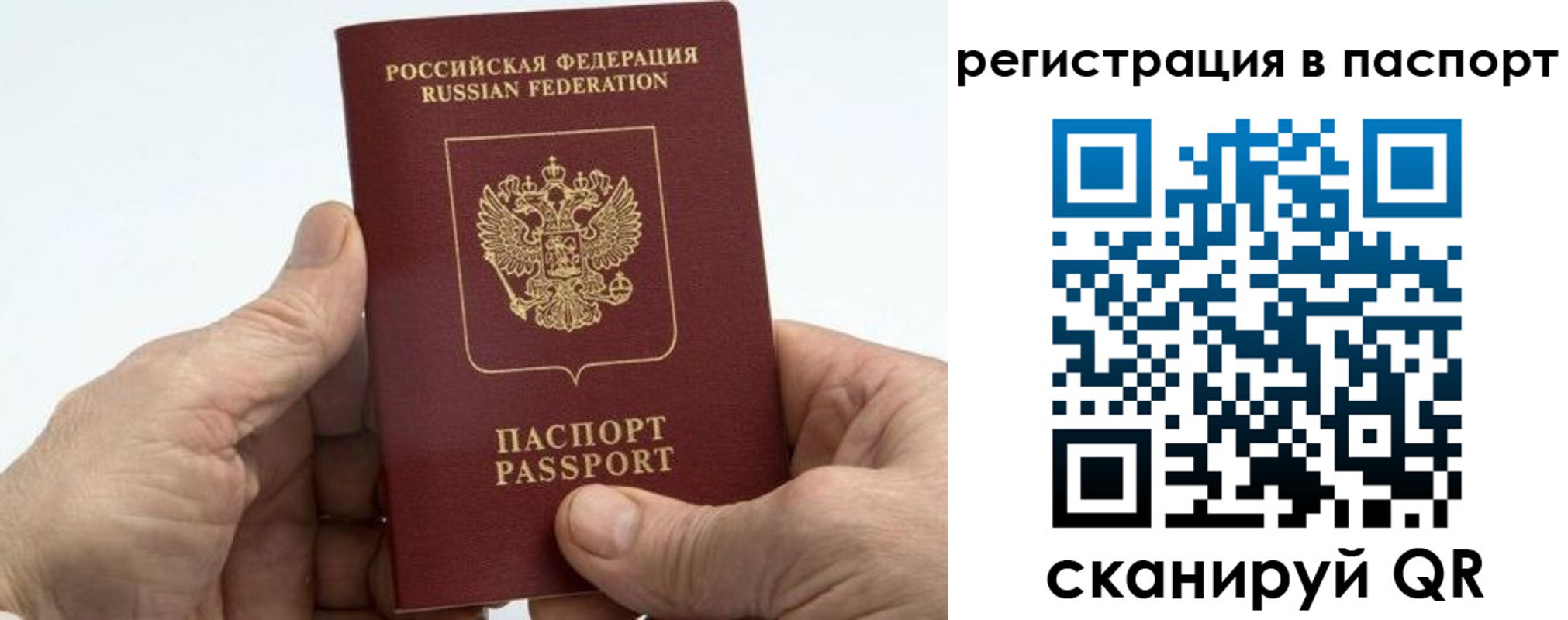 купить прописку в Сосенском